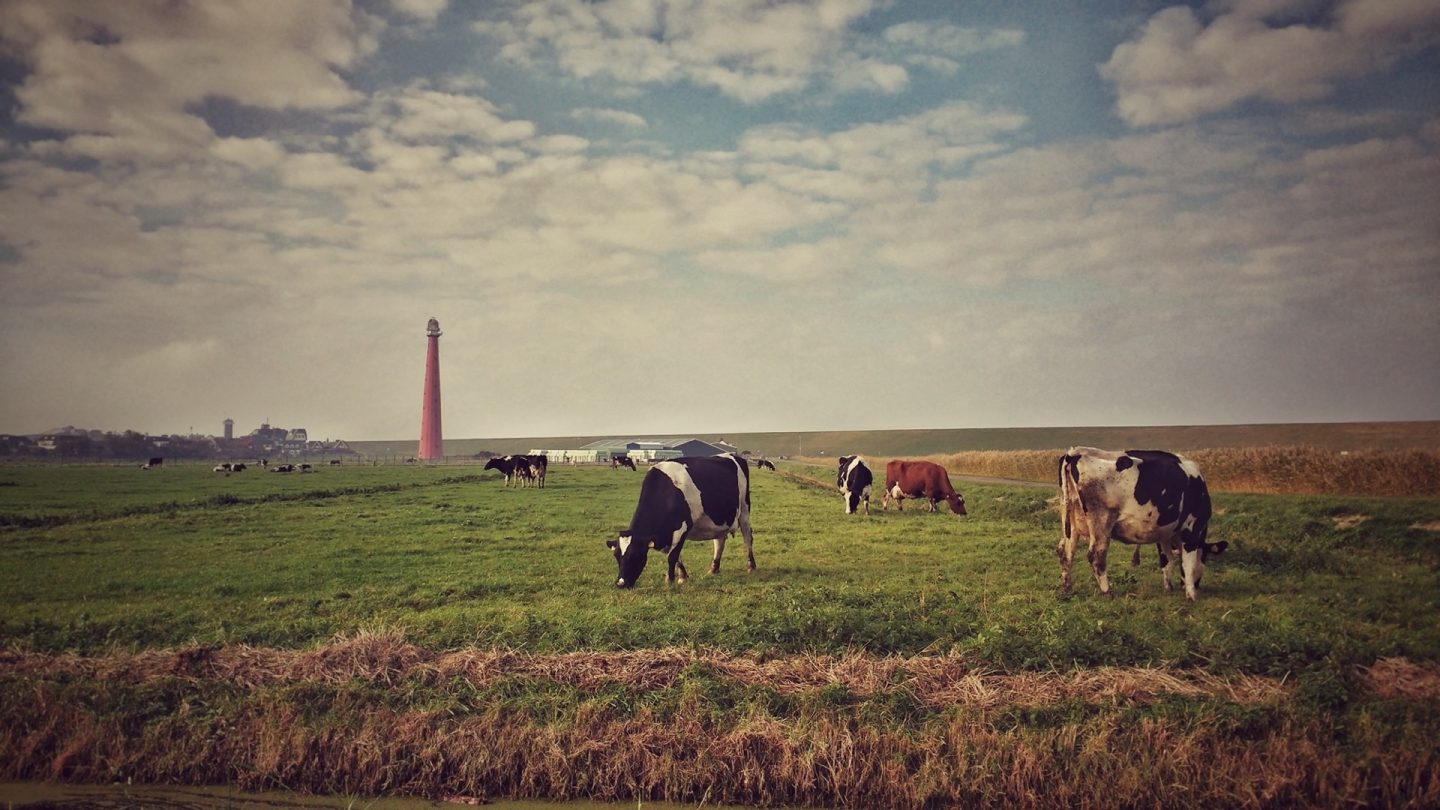 Vitaliteit volgens De Wandelcoach